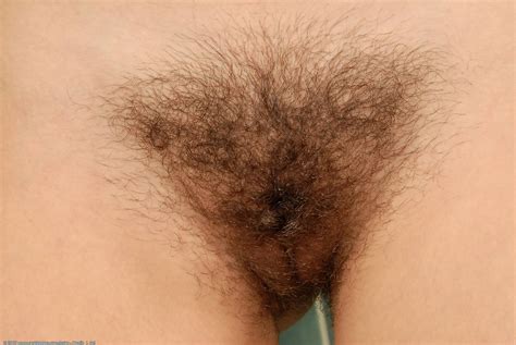 Hairy Vagina TheFappening Library