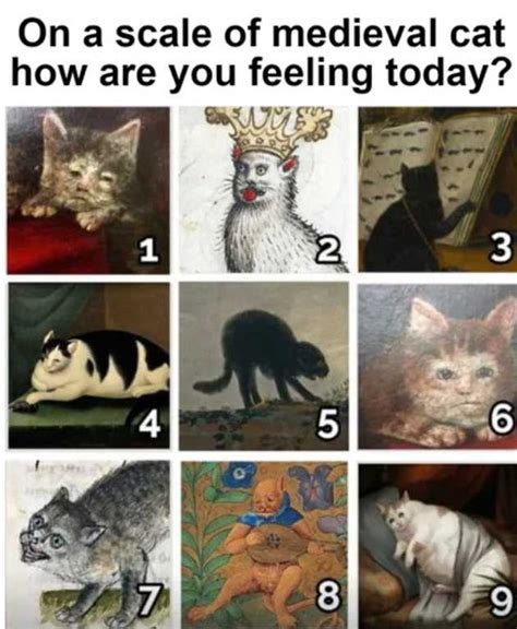 On A Scale Of Medieval Cat How Are You Feeling Today Funny