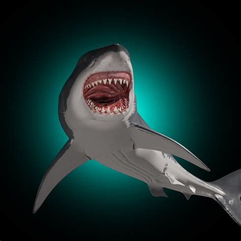 Jaws 3d Animated Great White Shark 3d Model In Shark 3dexport