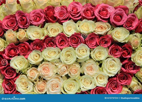 Pink Roses In Different Shades In Wedding Arrangement Stock Photo