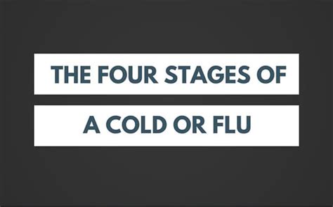 The Four Stages Of A Cold Or Flu Infographic Plaza