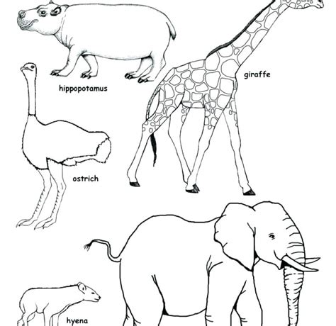 Savanna Coloring Pages Coloring Pages