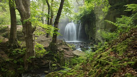 Wallpaper England Derbyshire Peak District Waterfall Forest