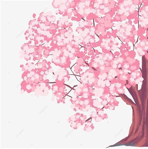 봄 벚꽃 일러스트 식물 꽃 봄 벚꽃나무 벚꽃 Png 일러스트 및 Psd 이미지 무료 다운로드 Pngtree