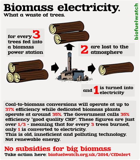 Plants, for instance, produce biomass energy through photosynthesis. No more subsidies for big biomass - biofuelwatch