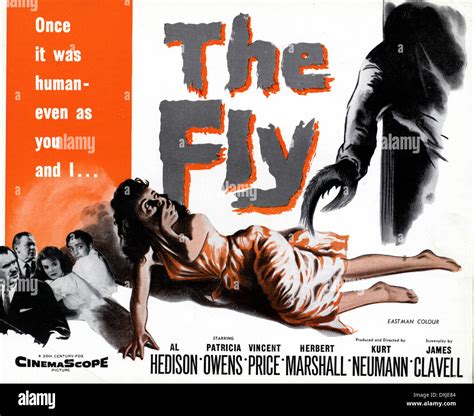The Fly 1958 Hi Res Stock Photography And Images Alamy