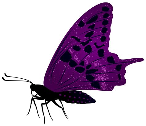 Purple Butterfly Png Clipart 20 Free Cliparts Download Images On