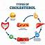 Types Of Cholesterol Educational Cycle Scheme From Fatty Food To LDL 