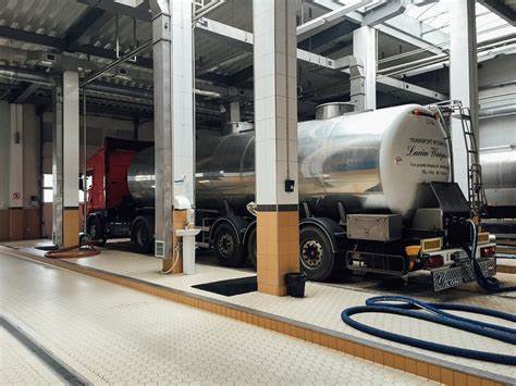 Молока рыбы на диете