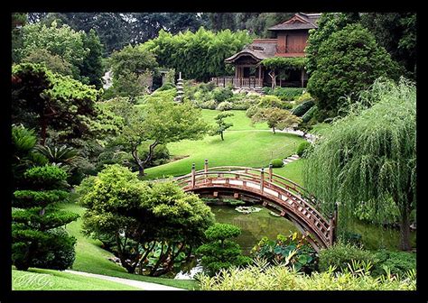 The Japanese Garden At The Huntington Library San Marino Ca Photo By