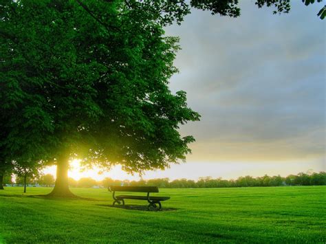Not to be confused with. The Benefit of Dreaming: Why We Feel Peaceful In The ...