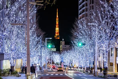 Tokyo At Night From Beautiful Night Views To Phenomenal Nightlife