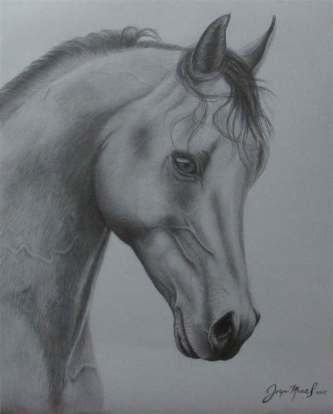 Dibujo Lápiz Grafito Caballo Horse Art Horses Creative Ideas