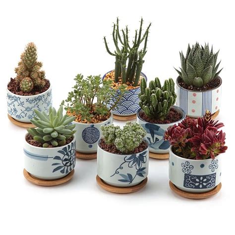 10 Best Planters Cactus Plant Pots Ceramic Succulent Planter