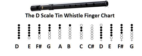 The D Whistle Finger Scale Choir Music Music Tabs Folk Music Tin