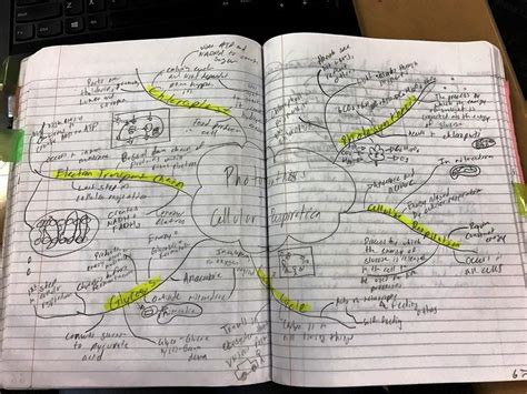 Mind Maps 21st Century Biology