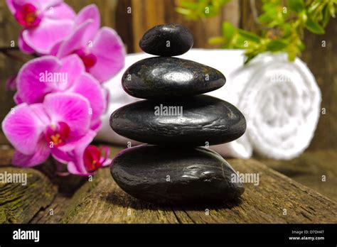 Japanese Zen Garden With Stacked Stones And Orchid Flower Stock Photo