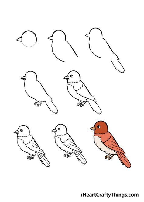 Hướng Dẫn Chi Tiết Cách Vẽ Con Chim đơn Giản Với 8 Bước Cơ Bản