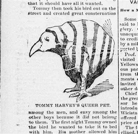 Weird Animals In Newspapers And How To Find Them
