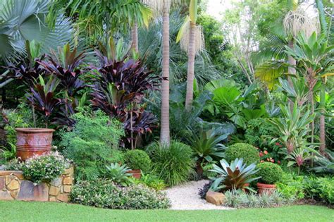 A Gardeners Guide To Subtropical Climates