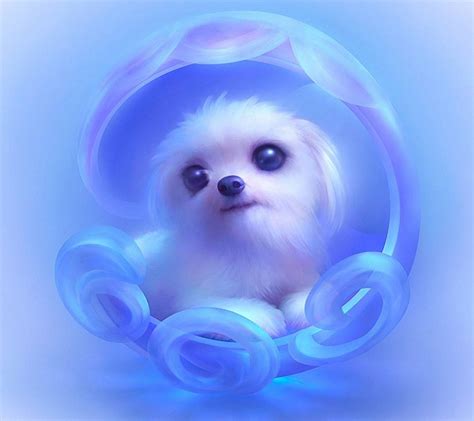 Blue Dog Wallpapers Wallpaper Cave