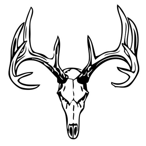 See drawing deer stock video clips. Drawings Of Deer Skulls - Cliparts.co