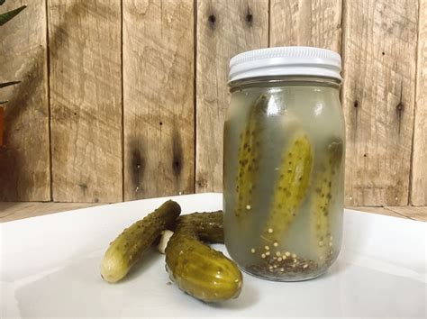 Fermented Dill Pickles Dutch Meadows Farm