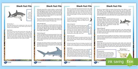 Sharks Self Marking Reading Comprehension Activity Twinkl