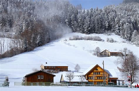 Snowy Village Forest Free Photo On Pixabay Pixabay