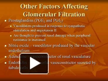 PPT Other Factors Affecting Glomerular Filtration PowerPoint