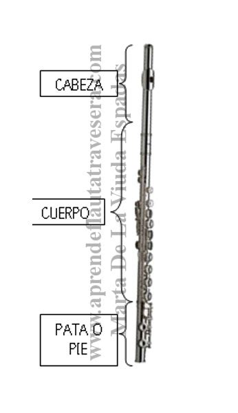 Aprende Flauta Travesera Las Partes De La Flauta Travesera