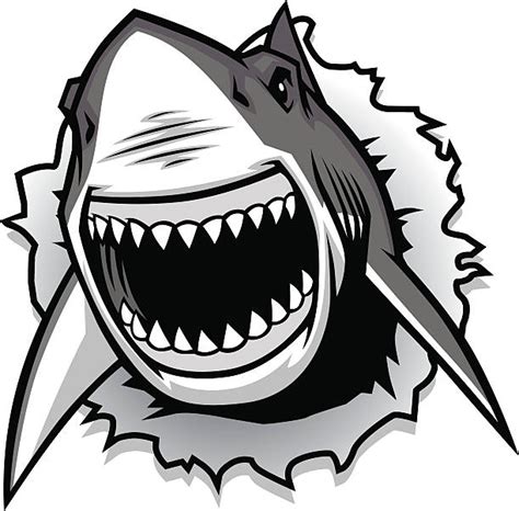 Download teeth shark mouth clipart 20 free Cliparts | Download images on Clipground 2021