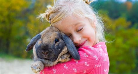 Top 104 Cuddly Animals As Pets