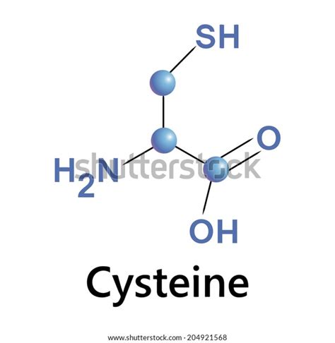 Cysteine Molecule Structure Medical Vector Illustration 库存矢量图（免版税