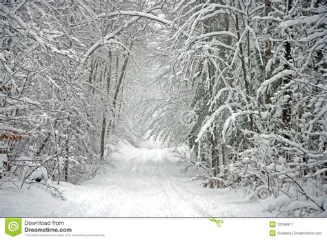 Scenic Tree Lined Winter Road Stock Image Image Of