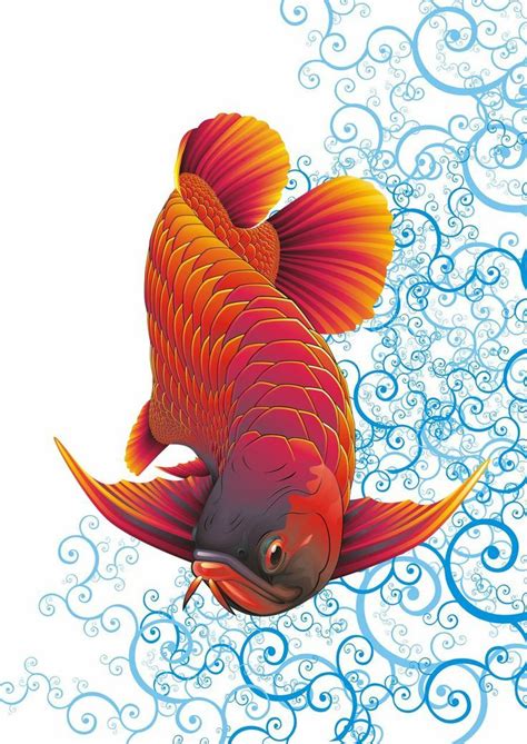 Sekedar informasi, koi adalah jenis ikan karper cyprinus carpio yang dipelihara untuk menghias rumah, berasal dari tiongkok dan banyak tersebar di jepang. Drawn Koi Fish feng shui fish 8 - 736 X 1040 ...