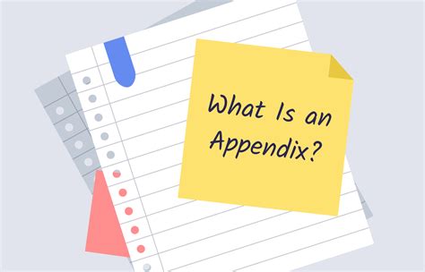 An appendix allows readers to get a better understanding of information included in an academic paper. What Is an Appendix? Structure, Format & Examples | EssayPro