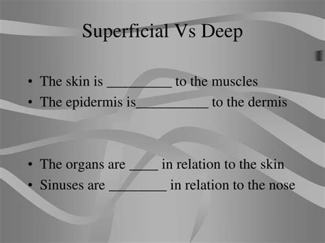 Ppt Body Planes Directions And Cavities Powerpoint Presentation