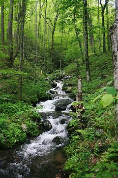 Picturesque Paradise Explore The Serene Serenity Of Lakes Dunson