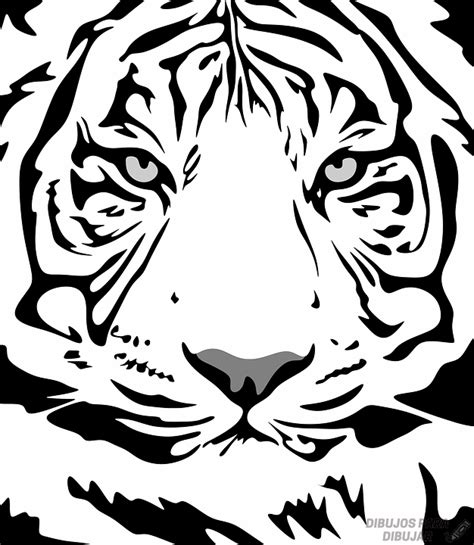 磊 2150 Los Mejores Dibujos De Tigres Sencillos ⚡️