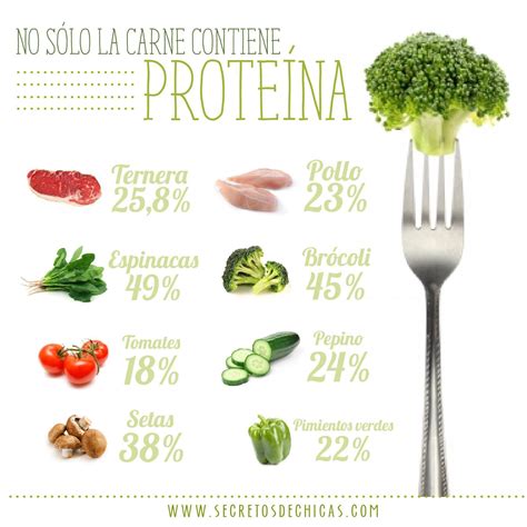Alimentos Con Proteinas Cone