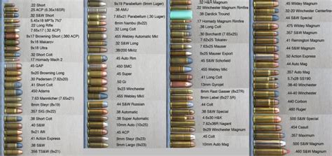 Ammo And Gun Collector Another Nice Ammo Size Comparison Chart