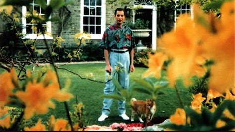 La Historia Detrás De Las Dos últimas Fotos De Freddie Mercury