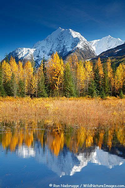 Kenai Peninsula Chugach National Forest Alaska Autumn Scenery