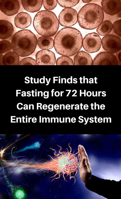 Study Finds That Fasting For 72 Hours Can Regenerate The Entire Immune