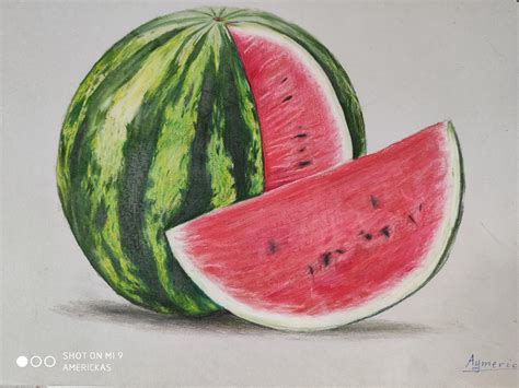 Top 139 Watermelon Drawing Images Latest Vn