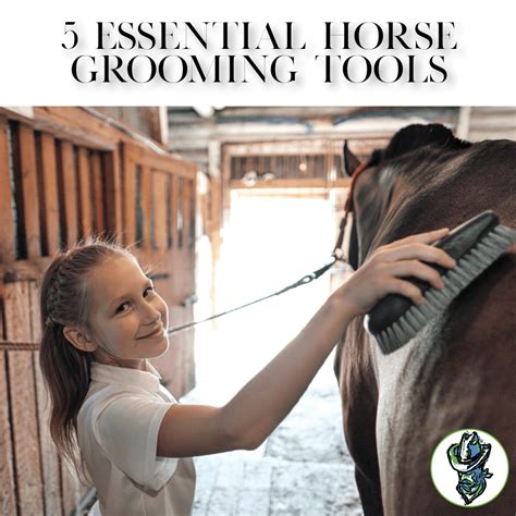 Horse Grooming Tools Cowboy Magic