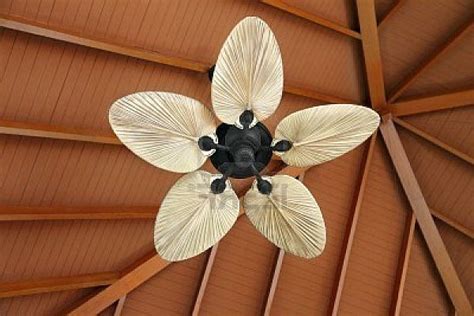 Read our complete buying guide with all the types and categories great examples of this type are emerson carrera grande that comes in various beautiful colors and the examples of beautiful but functional large, oversized ceiling fans are the montecarlo turbine. Choosing a Unique Ceiling Fan