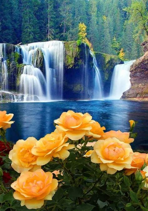 Flower Waterfall Wallpapers Top Free Flower Waterfall Backgrounds