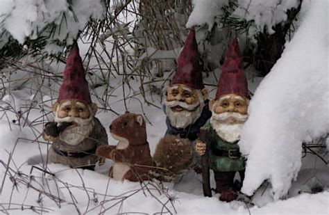 Gnome Stories At Whimsical Woods Snowy Seattle Gnomes